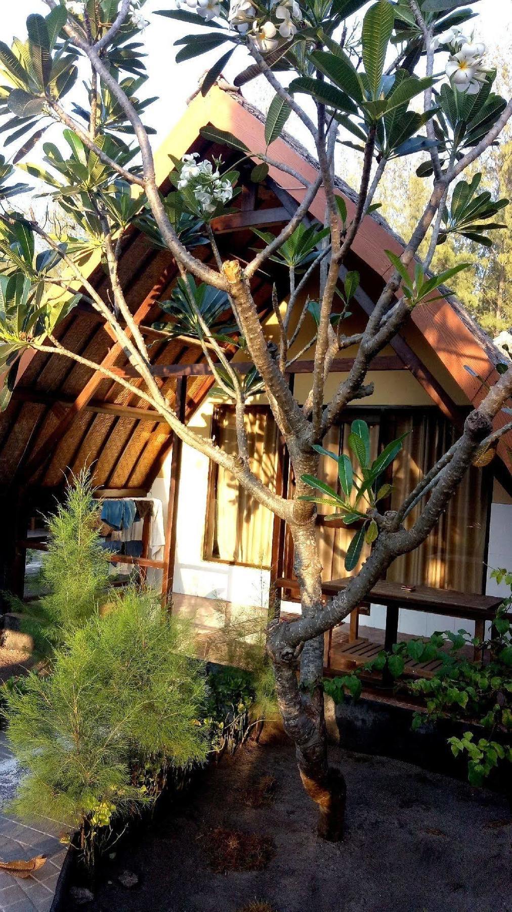 Pondok Windy Quần đảo Gili Ngoại thất bức ảnh